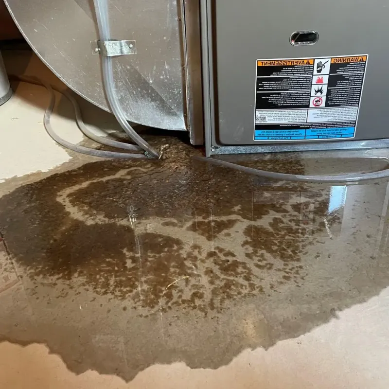 Pipe Burst and Leak Restoration in North Bath, ME